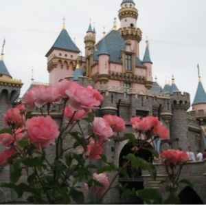 Meet your Posher, Anneliese